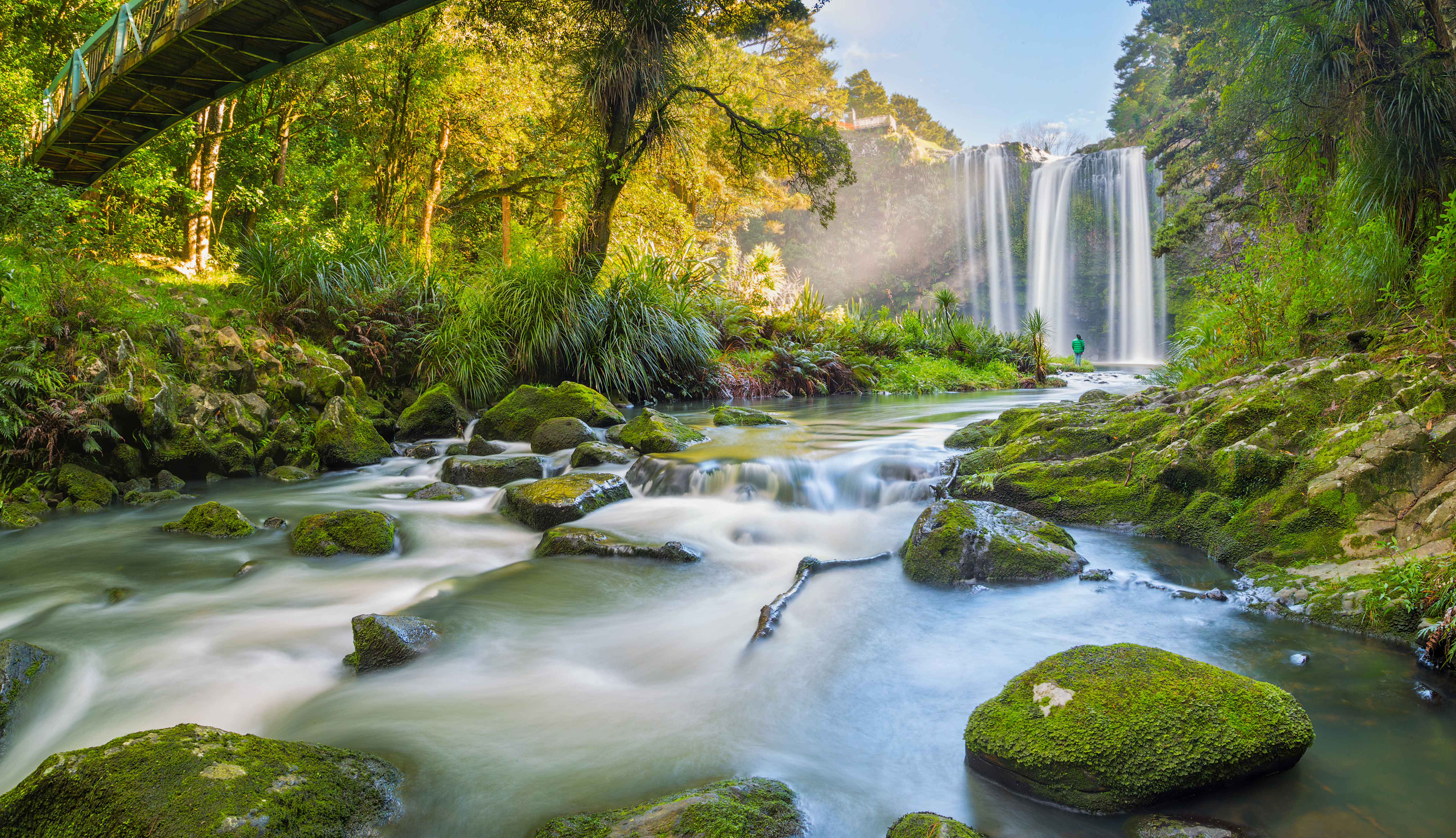 Whangarei Falls in Northland, New Zealand, waterfall, river, rocks, verdant trees and greenery
