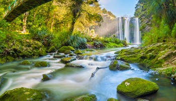 Whangarei Falls in Northland, New Zealand, waterfall, river, rocks, verdant trees and greenery
