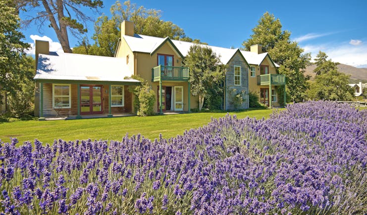 Millbrook Lodge Otago and Fiordland exterior lavender building with gardens and lavender