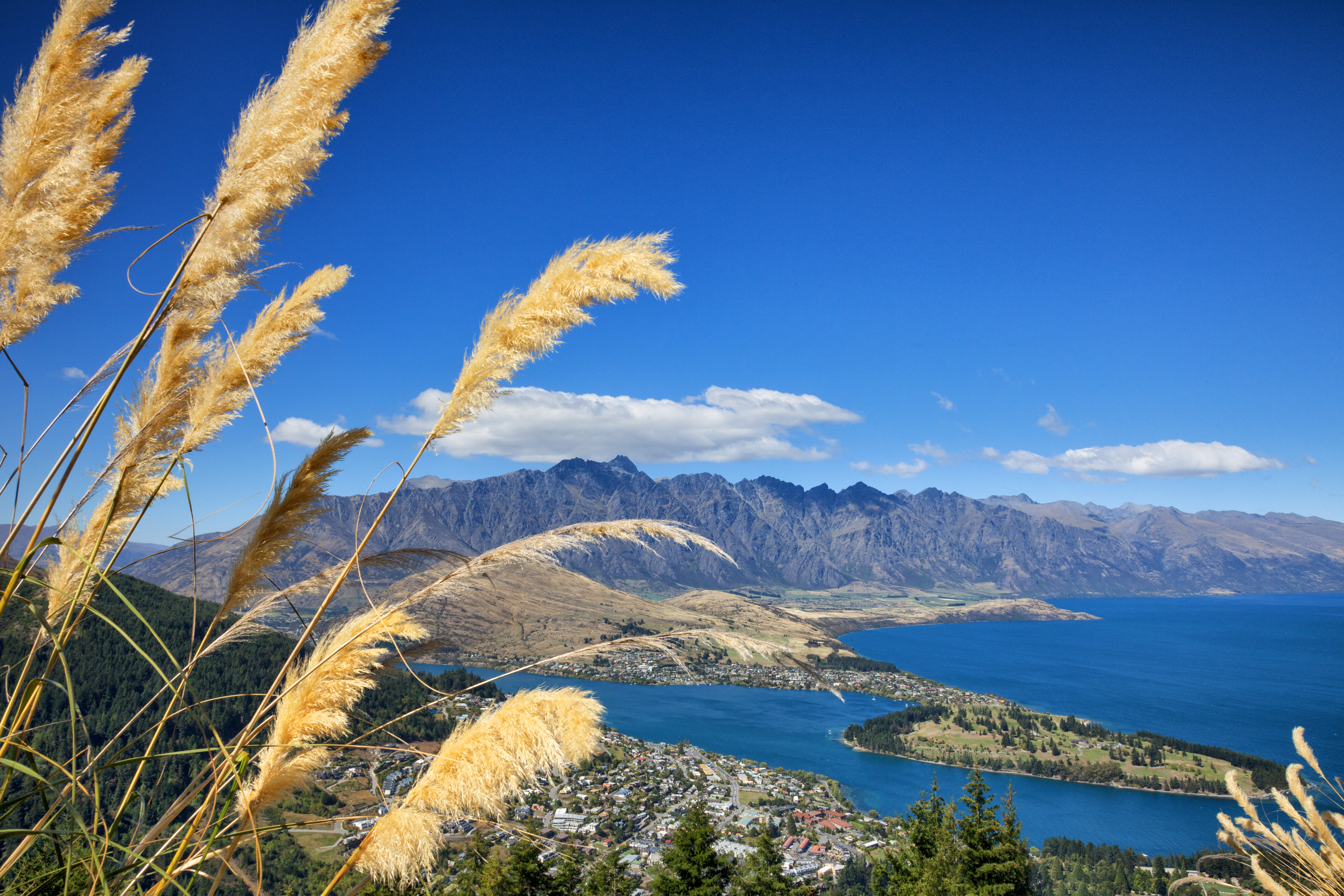 Lake Wakatipu in the Remarkable Mountains in Otago, blue water, shrubbery, mountains in background