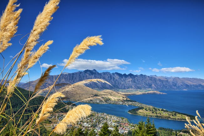 Lake Wakatipu in the Remarkable Mountains in Otago, blue water, shrubbery, mountains in background