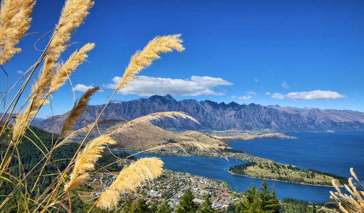Lake Wakatipu in the Remarkable Mountains in Otago, blue water, shrubbery, mountains in background