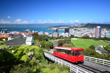 Wellington city in New Zealand, tram , coastal city, buildings, houses, sea in background