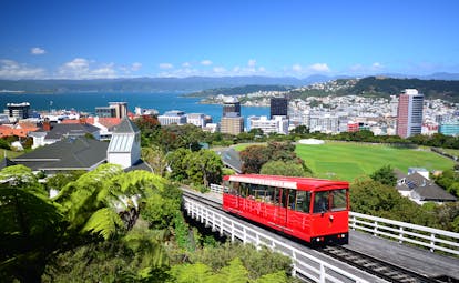 Wellington city in New Zealand, tram , coastal city, buildings, houses, sea in background