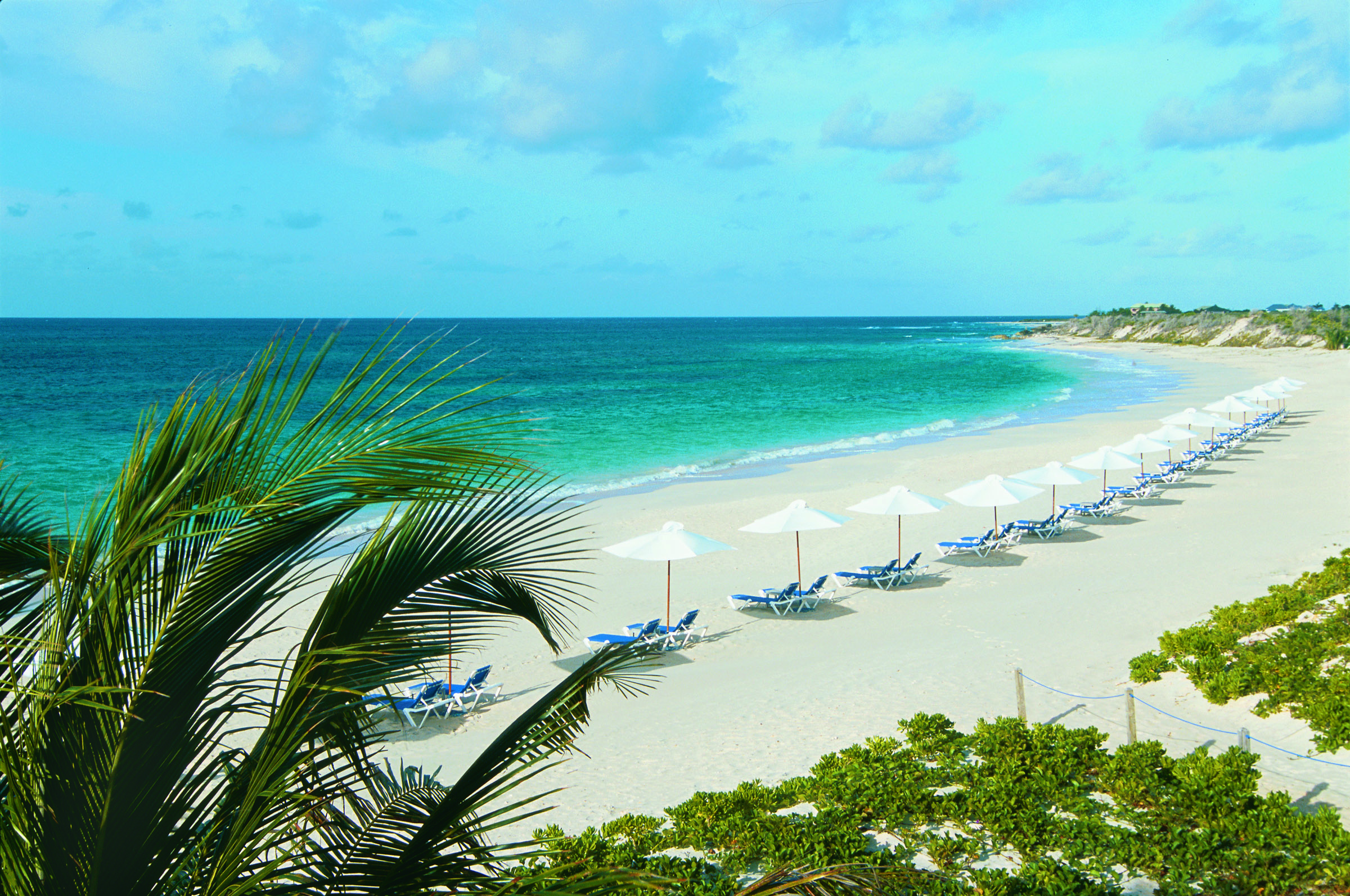 Cuisinart Anguilla beach with palm tree and umbrellas