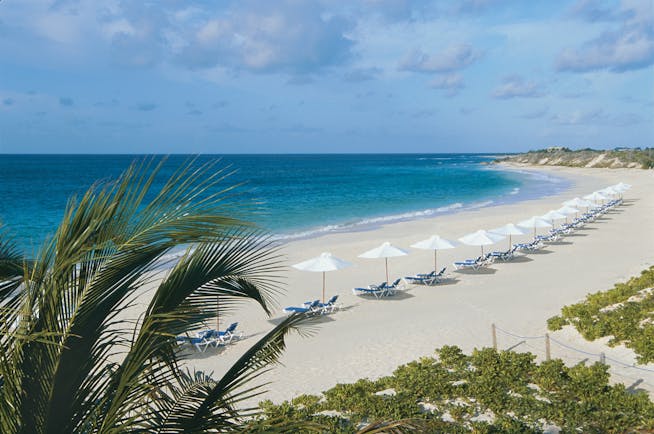 Cuisinart Anguilla beach with palm tree and umbrellas