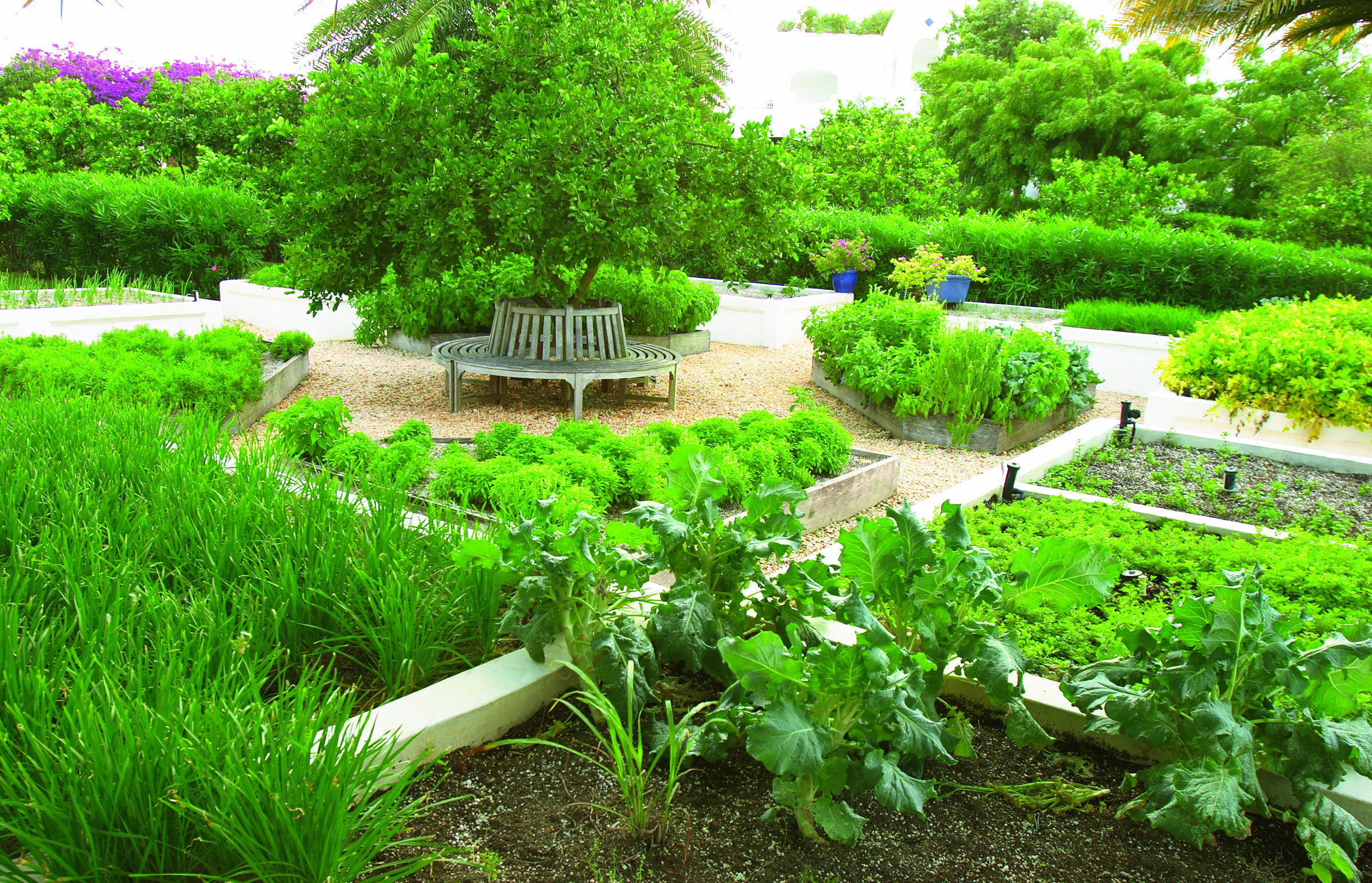 Cuisinart Anguilla herb garden small seating area