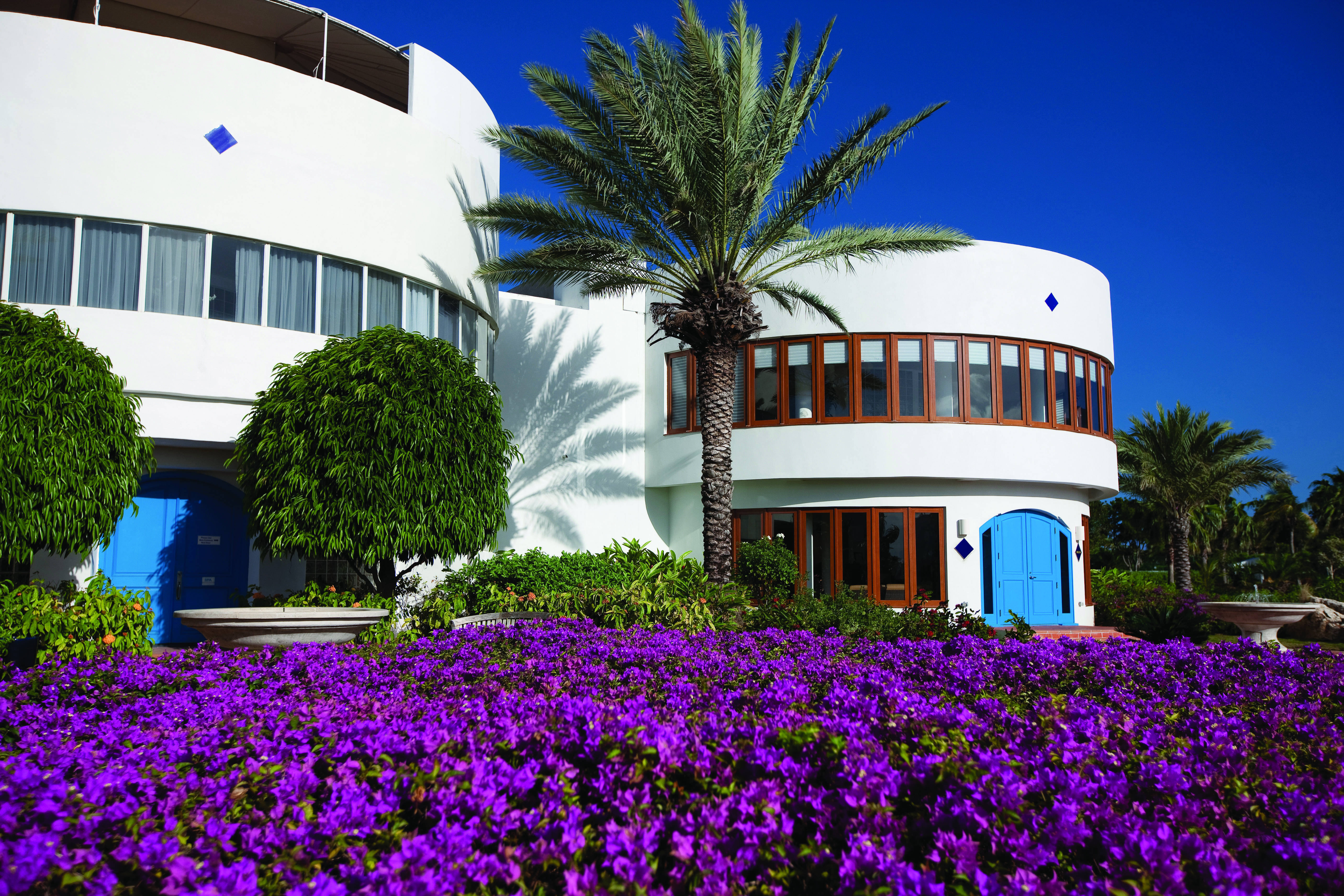 Cuisinart Anguilla Venus Spa entrance palm trees flowers