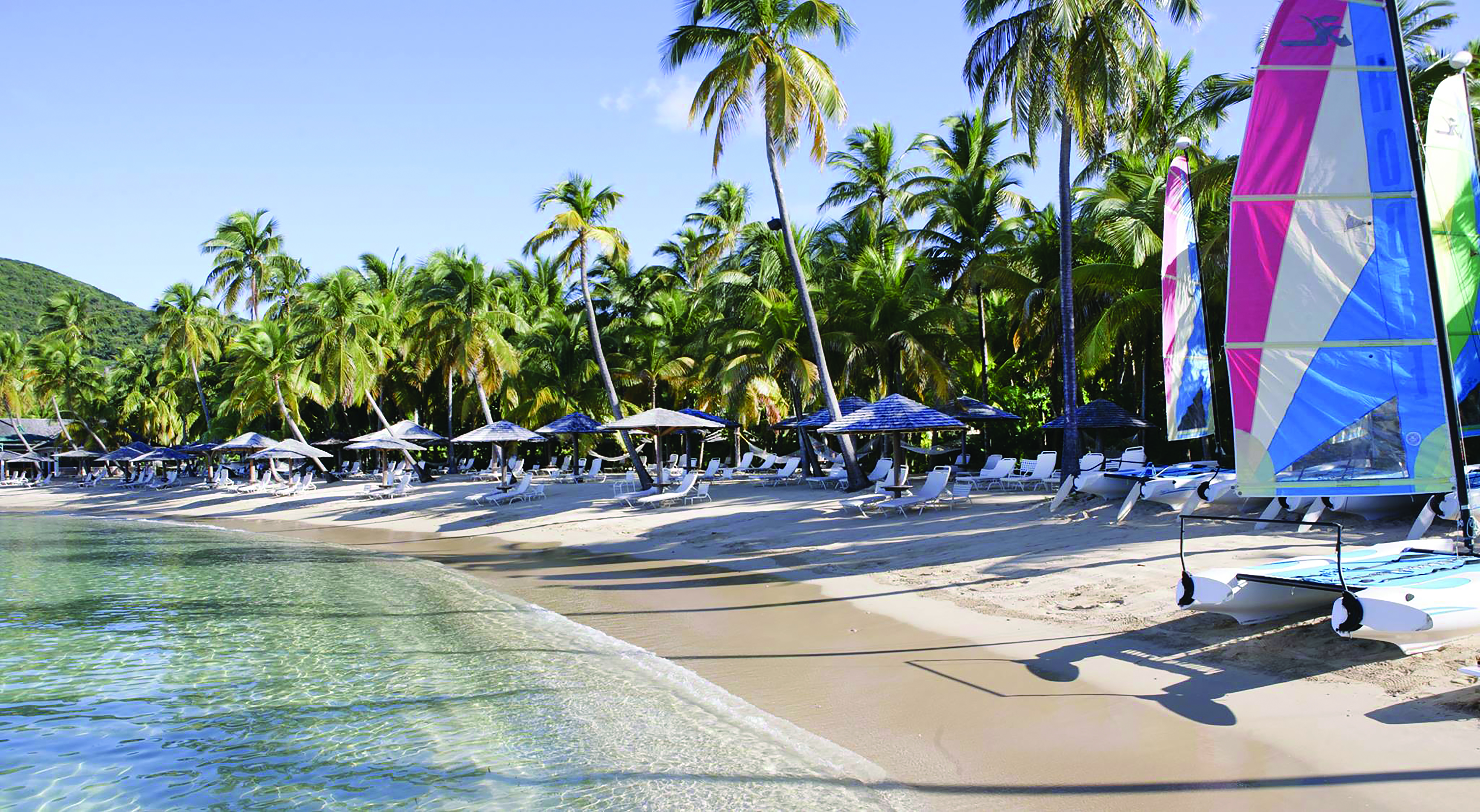 Curtain Bluff Antigua beach with palm trees and sun loungers