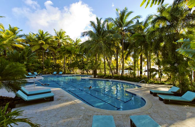 Swimming pool surrounded by palm trees