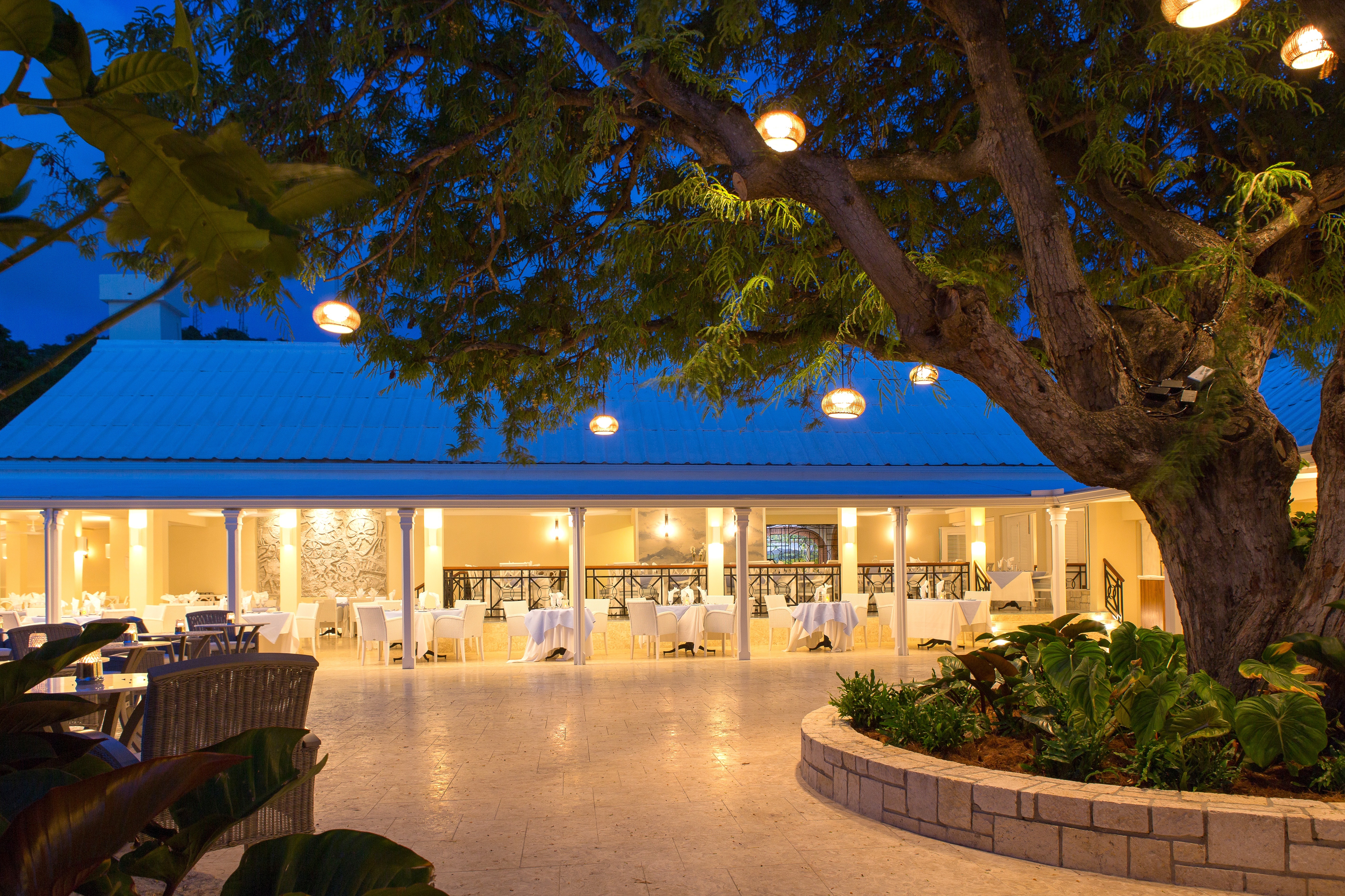 Restaurant open air at night near tree