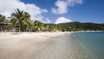 Inn at English Harbour Antigua beach ocean sandy beach sun loungers palm trees