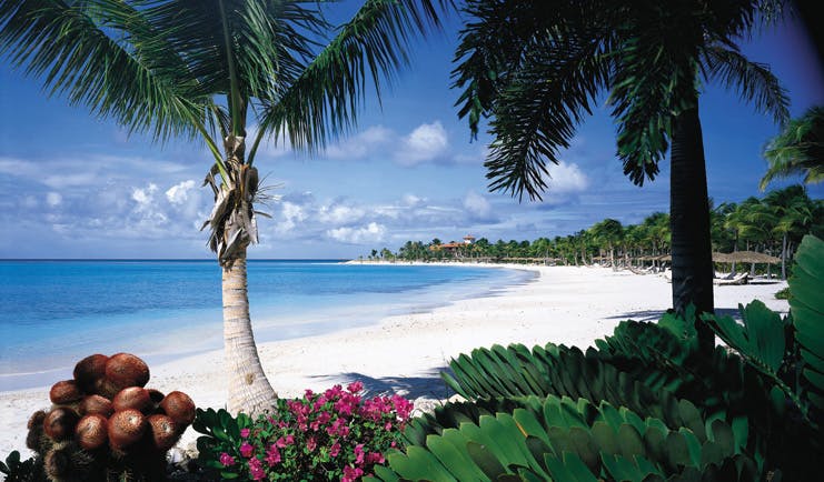 Jumby Bay Antigua beach white sand clear blue ocean palm trees