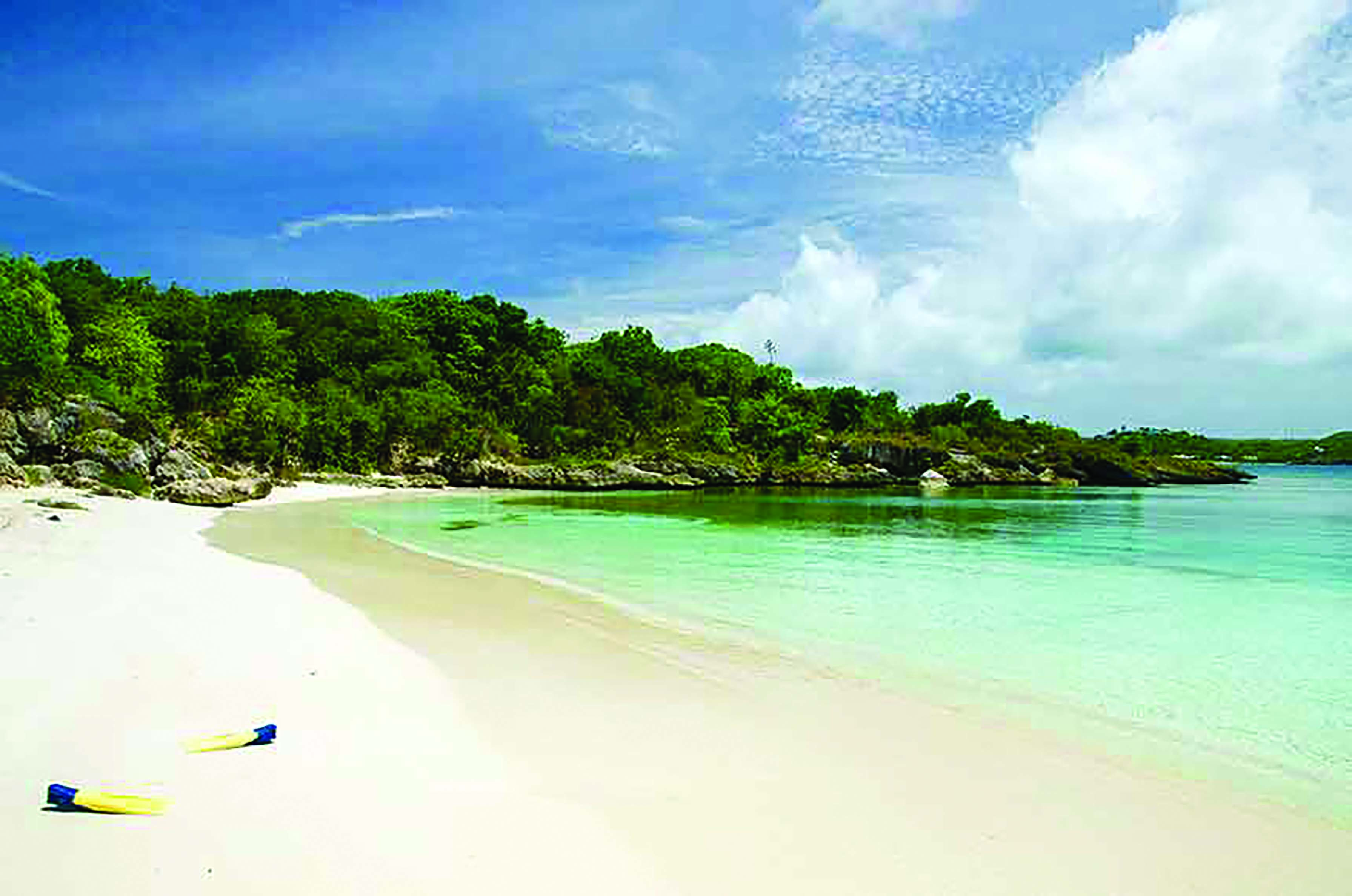 Nonsuch Bay Antigua beach sandy beach ocean