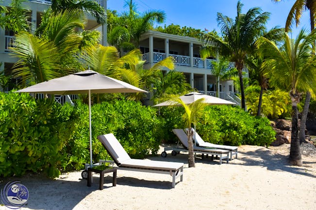 Beach loungers on South Point beach, umbrellas, palm trees