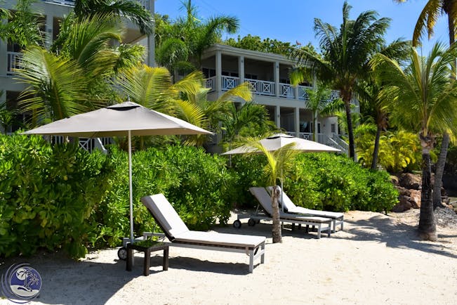 Beach loungers on South Point beach, umbrellas, palm trees