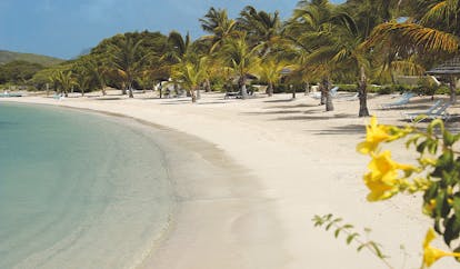 St James's Club Antigua beach waves lapping on the shore white sand palm tree