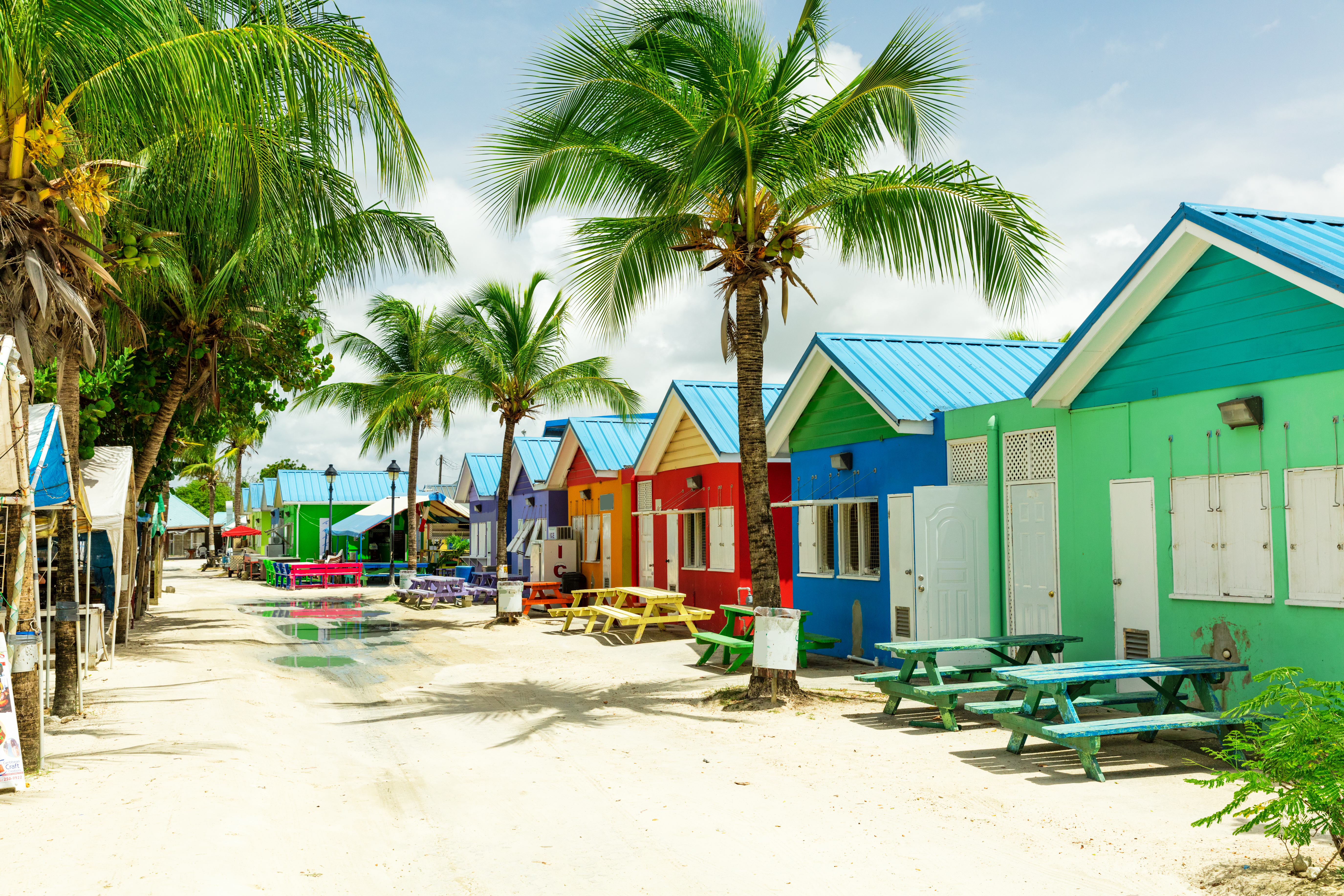 Colourful houses in Barbados palm trees