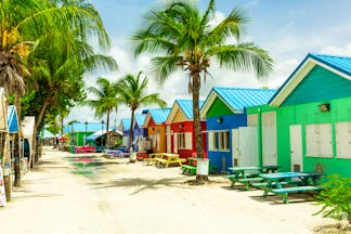 Colourful houses in Barbados palm trees