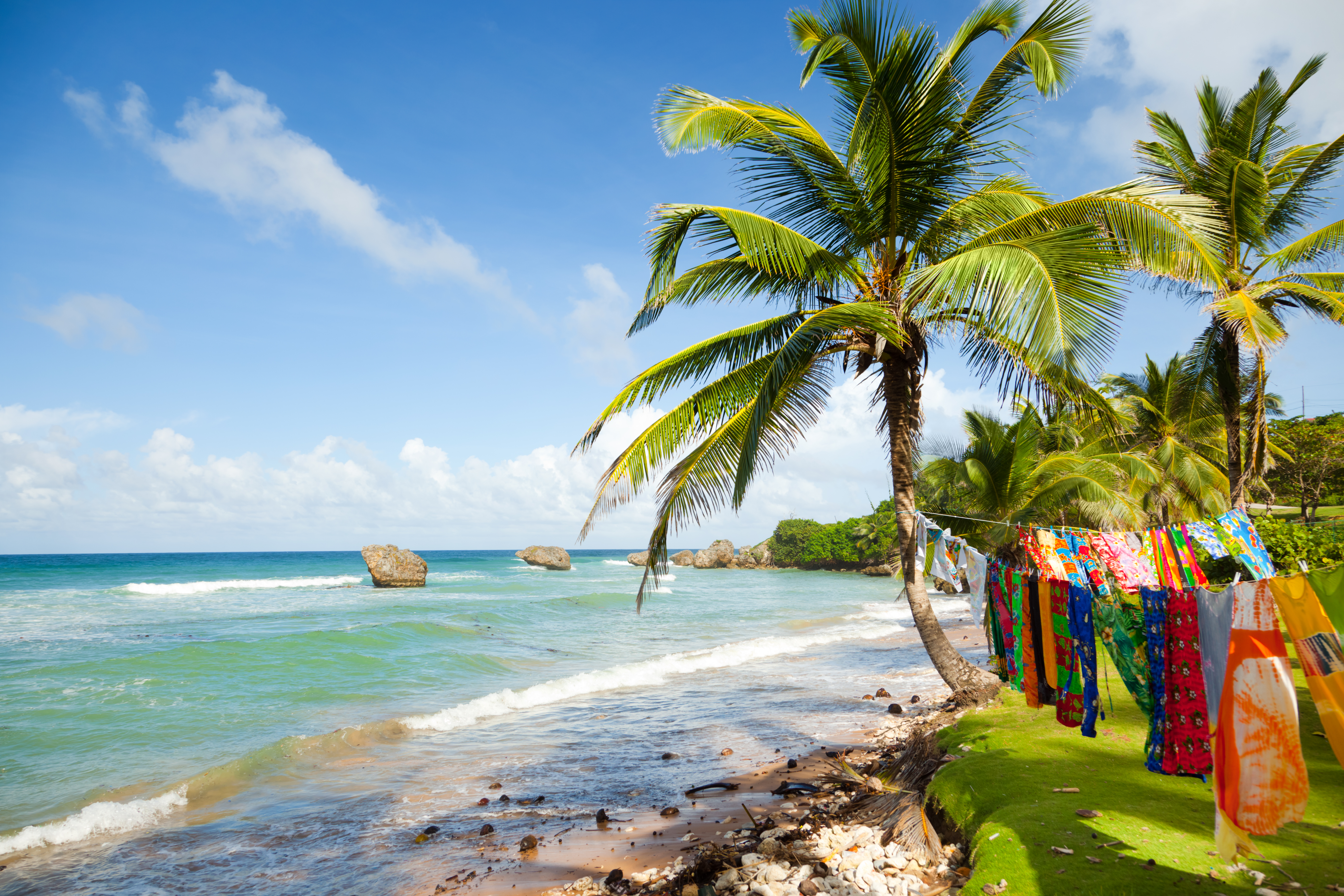 Beach in Barbados, palm trees, clear blue ocean