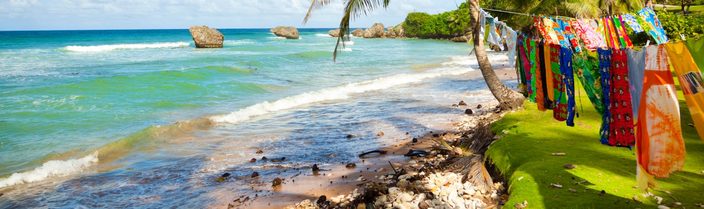 Beach in Barbados, palm trees, clear blue ocean