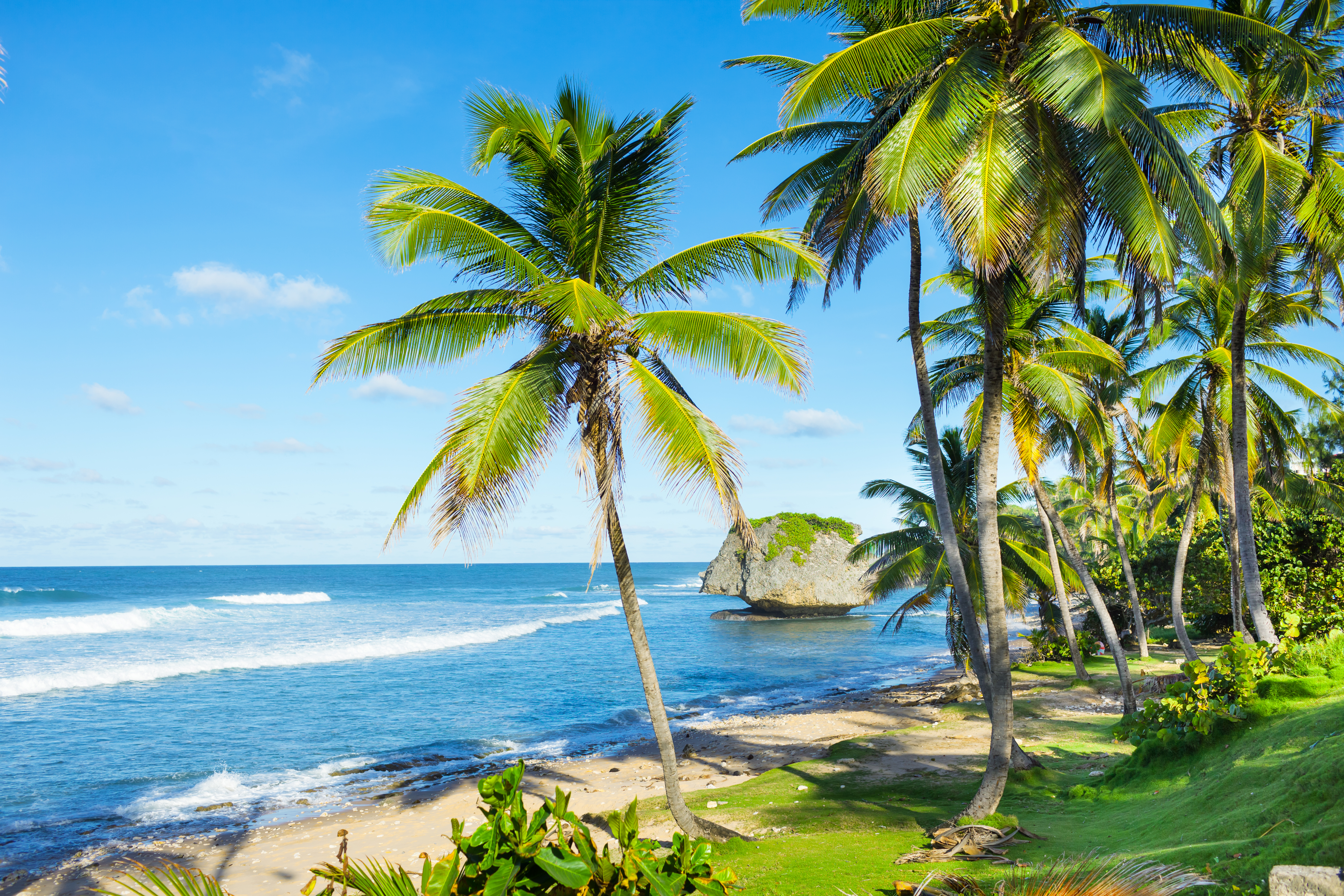 Soup Bowl beach in Barbados, palm trees, sand, ocean