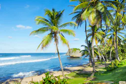 Barbados beyond the resort brochure Barbados beyond the resort brochure