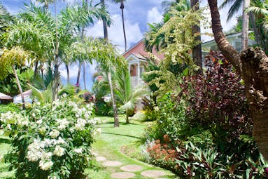 Gardens with palm trees and flowers on a grassy lawn