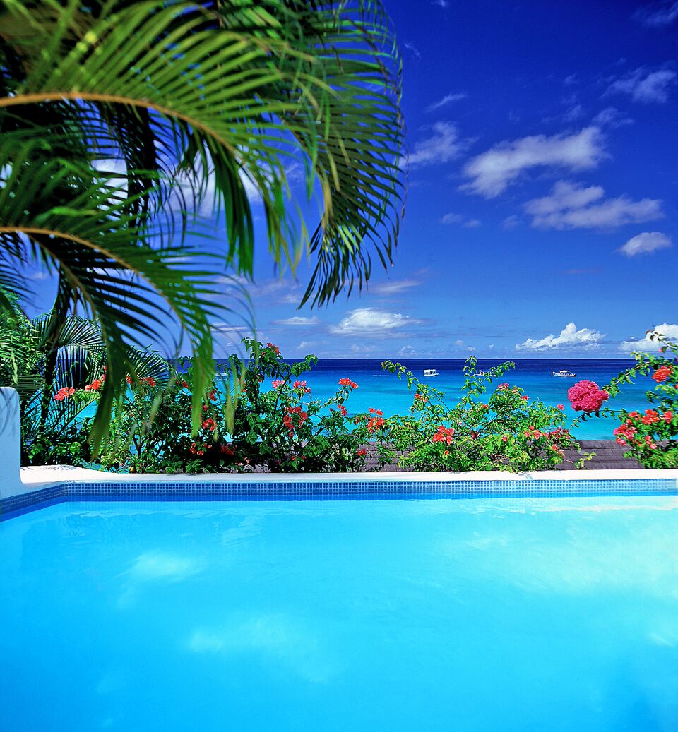 Suite private plunge pool shown with flowers around the edge of pool and view of sea