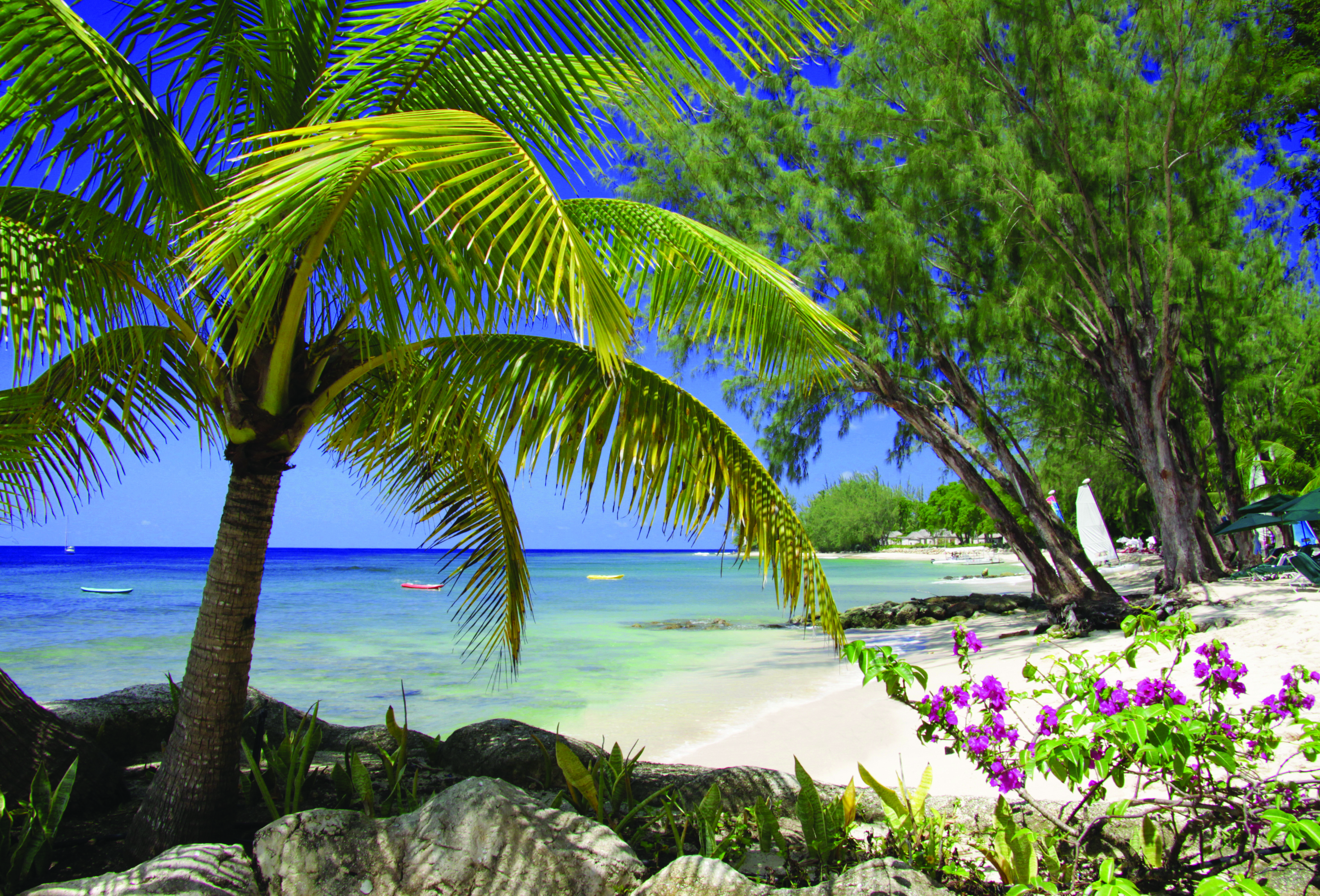 Coral Reef Club Barbados beach white sand ocean palm tree