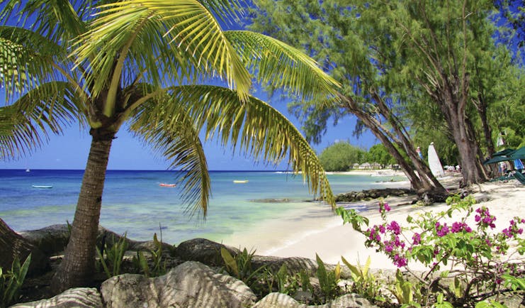 Coral Reef Club Barbados beach white sand ocean palm tree