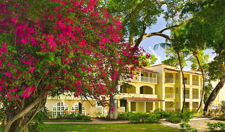 Tamarind Barbados exterior hotel building lawn trees pink flowers