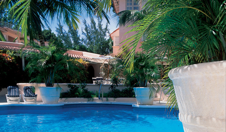 Tamarind Barbados pool large fern plants 