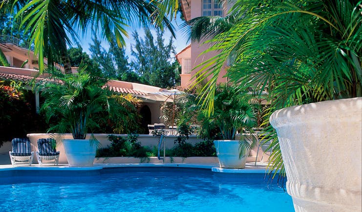 Tamarind Barbados pool large fern plants 