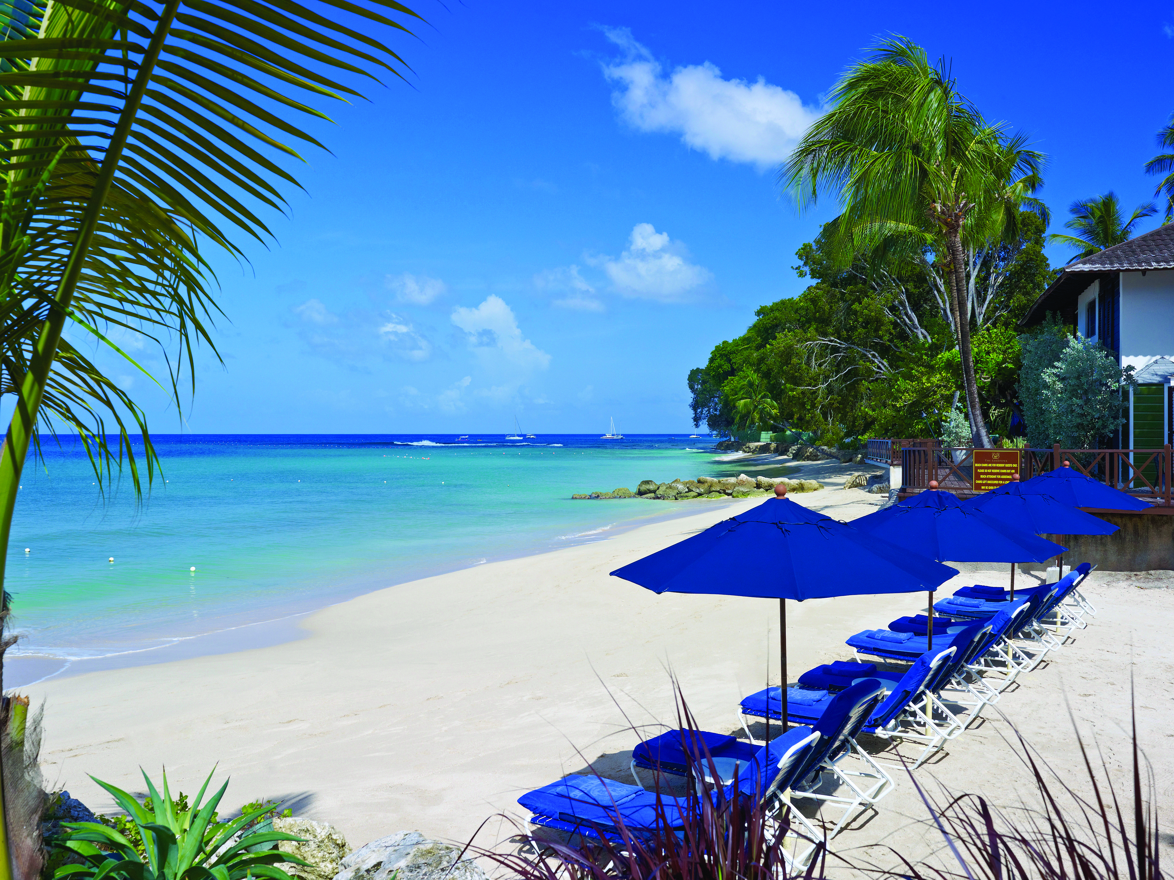 Sandpiper Barbados  beach sun loungers and umbrellas