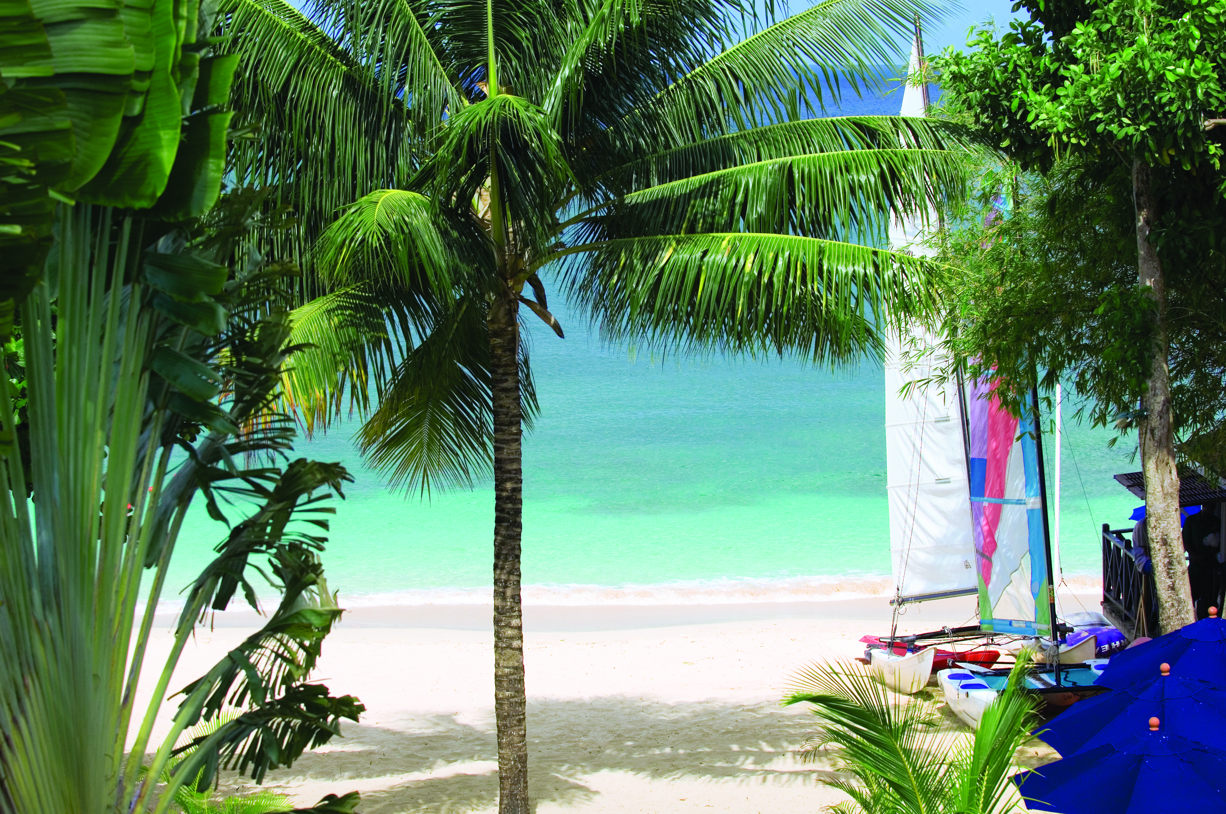 Sandpiper Barbados  boats moored on beach palm trees 