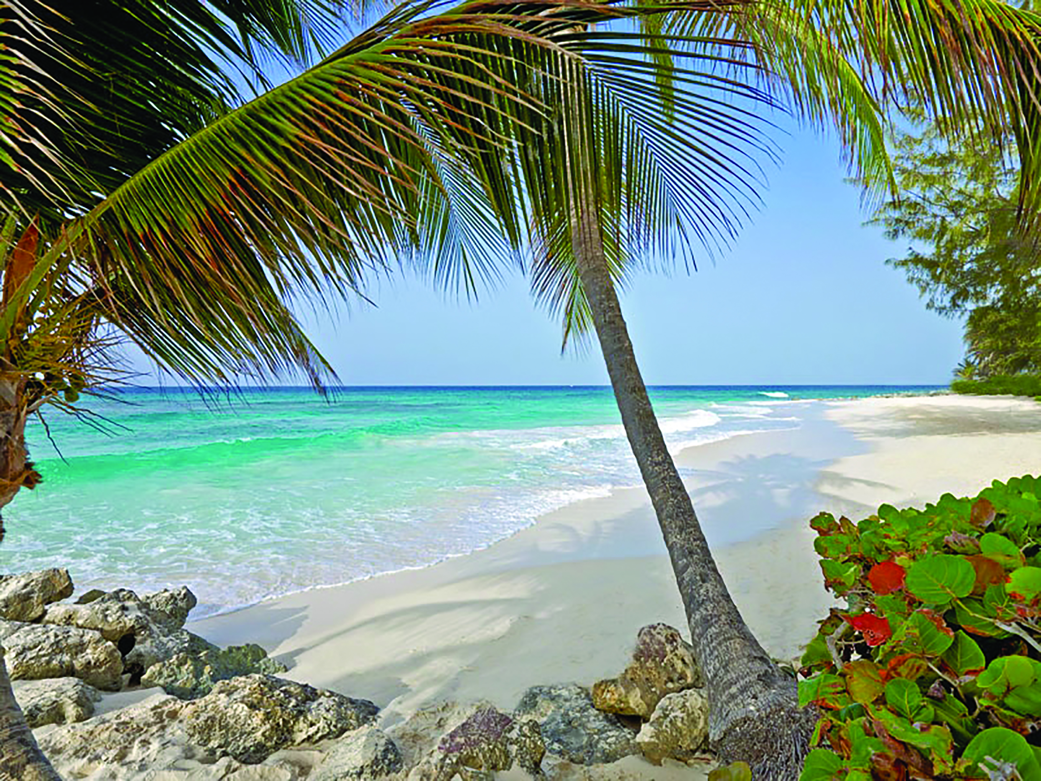 Turtle Beach Barbados beach waves lapping the sand 