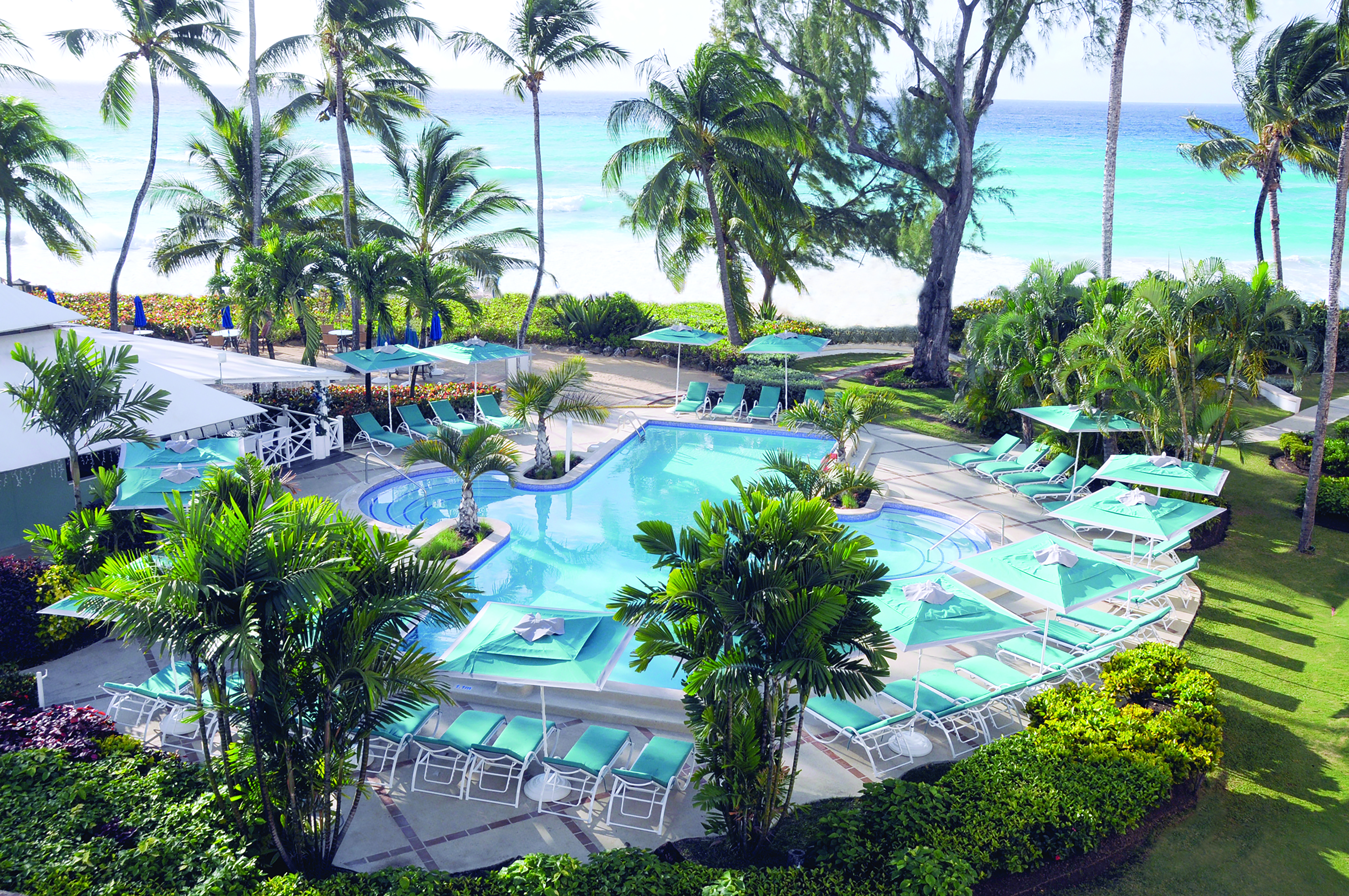 Turtle Beach Barbados pool palm trees overlooking the ocean
