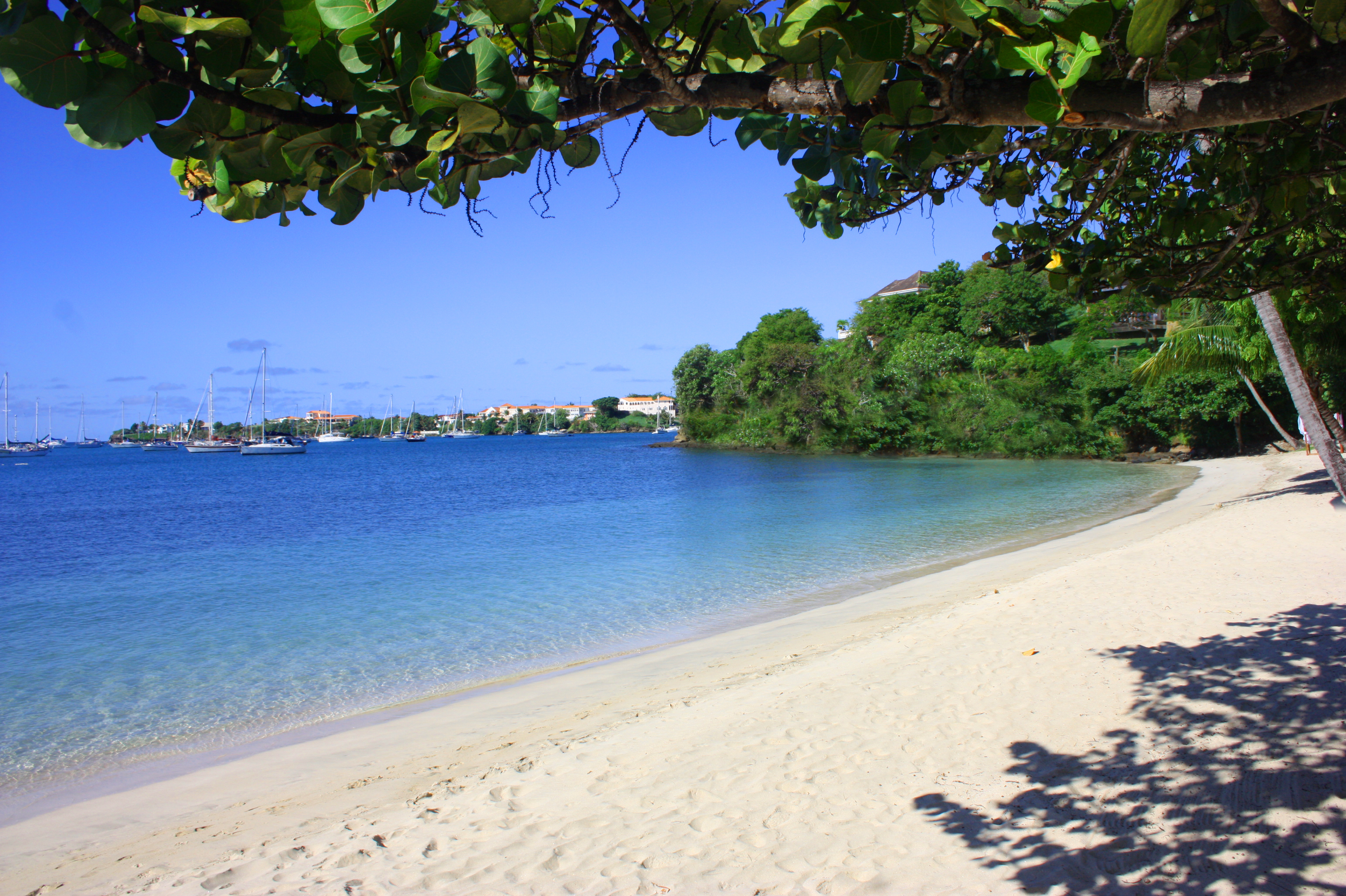 Beach in the Caribbean at the Calabash