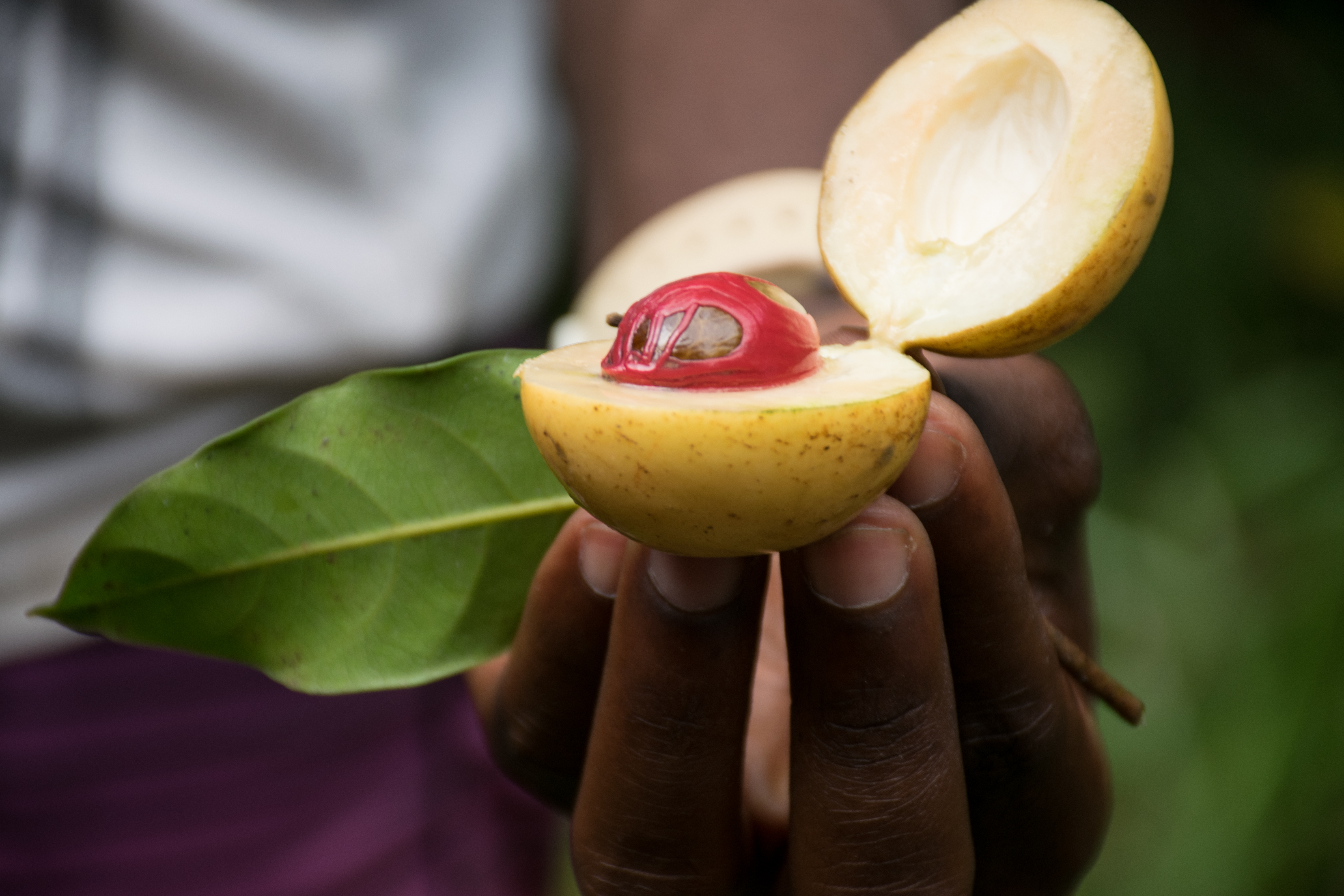 The Caribbean: how to choose the right island