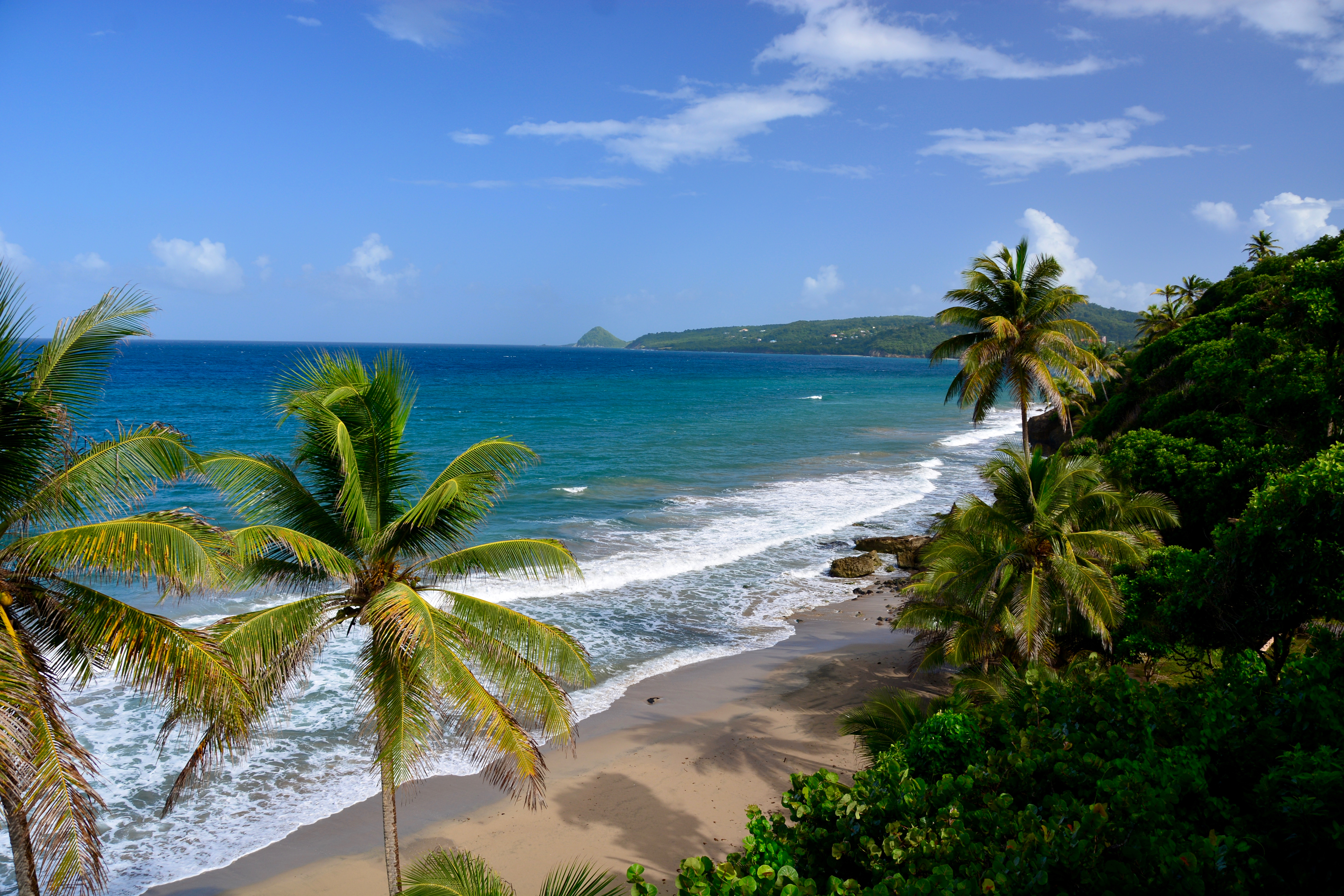 Grand Anse beach in Grenada, sand, blue seas, palm tree