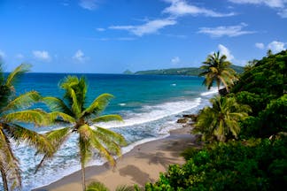 Grand Anse beach in Grenada, sand, blue seas, palm tree