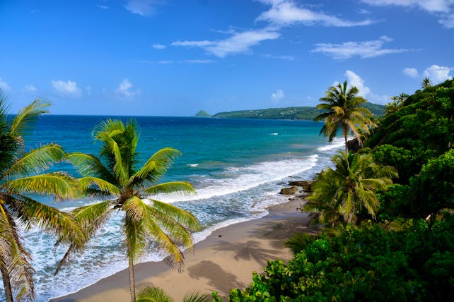 Grand Anse beach in Grenada, sand, blue seas, palm tree