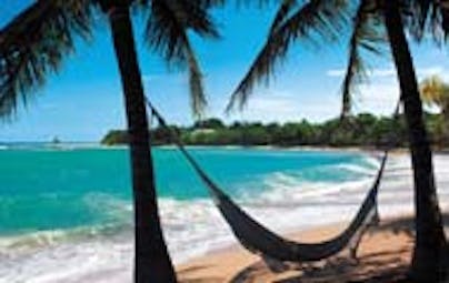 Half Moon Jamaica hammock tied between two palm trees on beach golden sand