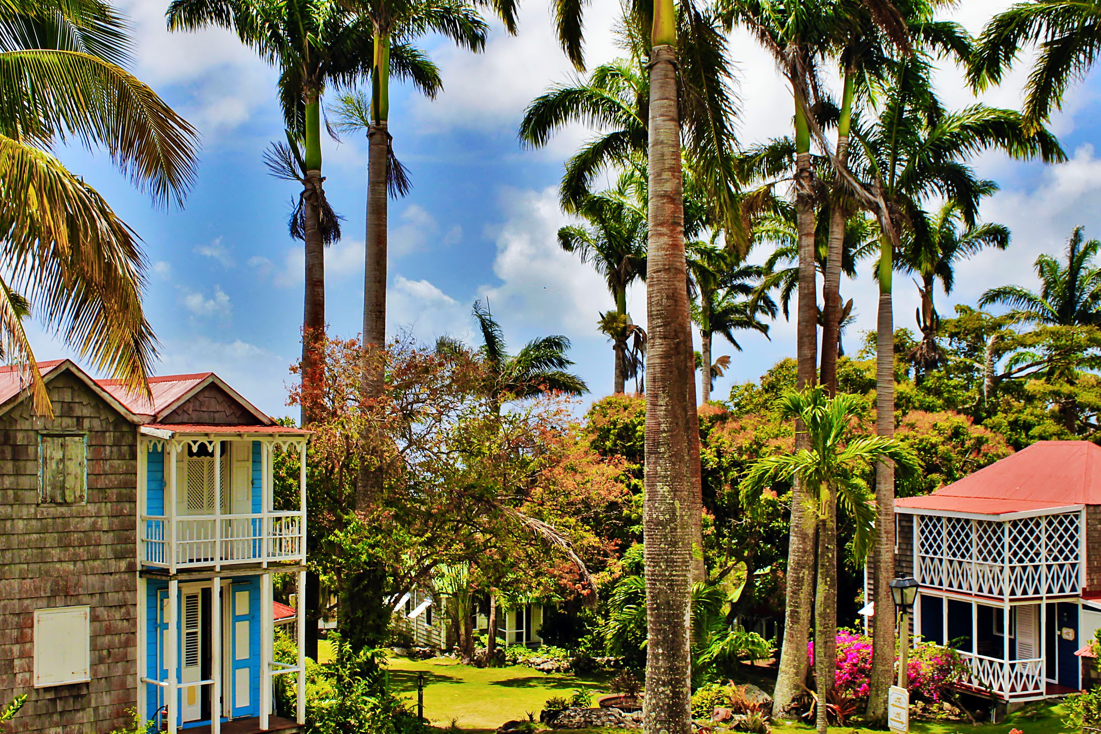 Cottages with red roofs and white balconies surrounded by palm trees at Hermitage Inn Nevis