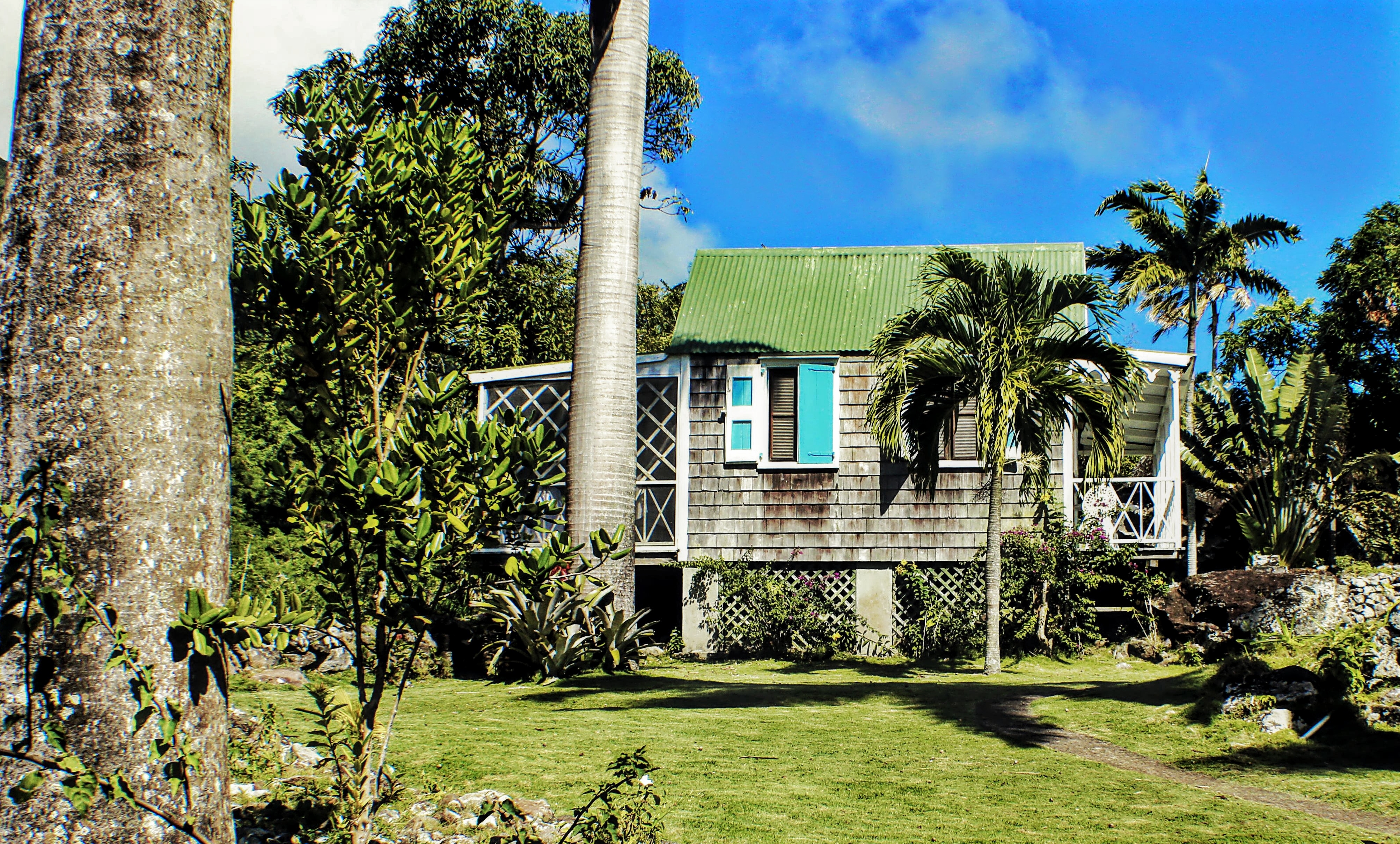 Palm trees and grass with small cottasge with green roof and blue shtters at Hermitage Inn Nevis