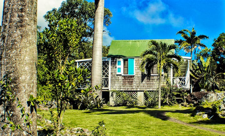 Palm trees and grass with small cottasge with green roof and blue shtters at Hermitage Inn Nevis