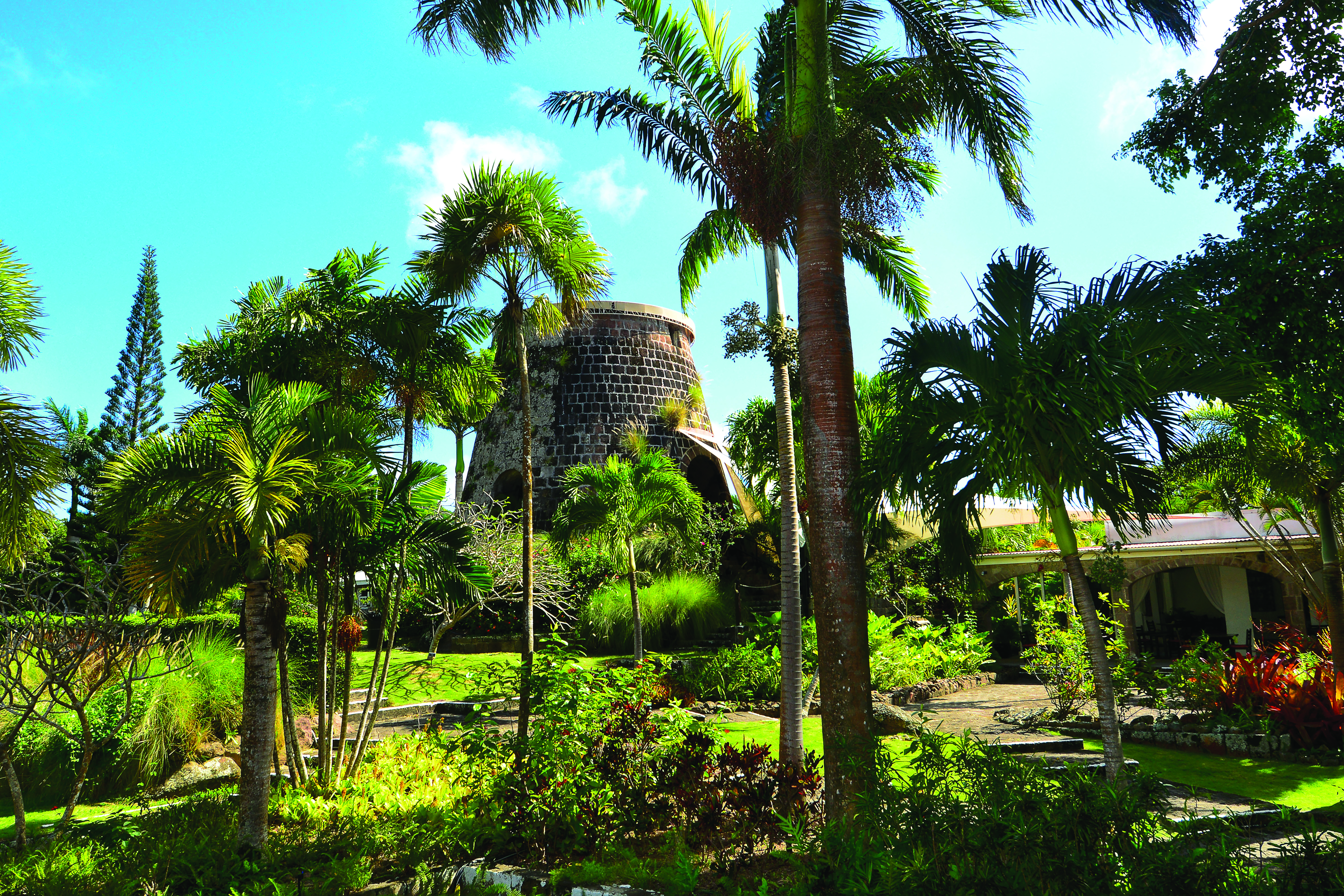 Montpelier Plantation Nevis main resort and gardens palm trees and greenery