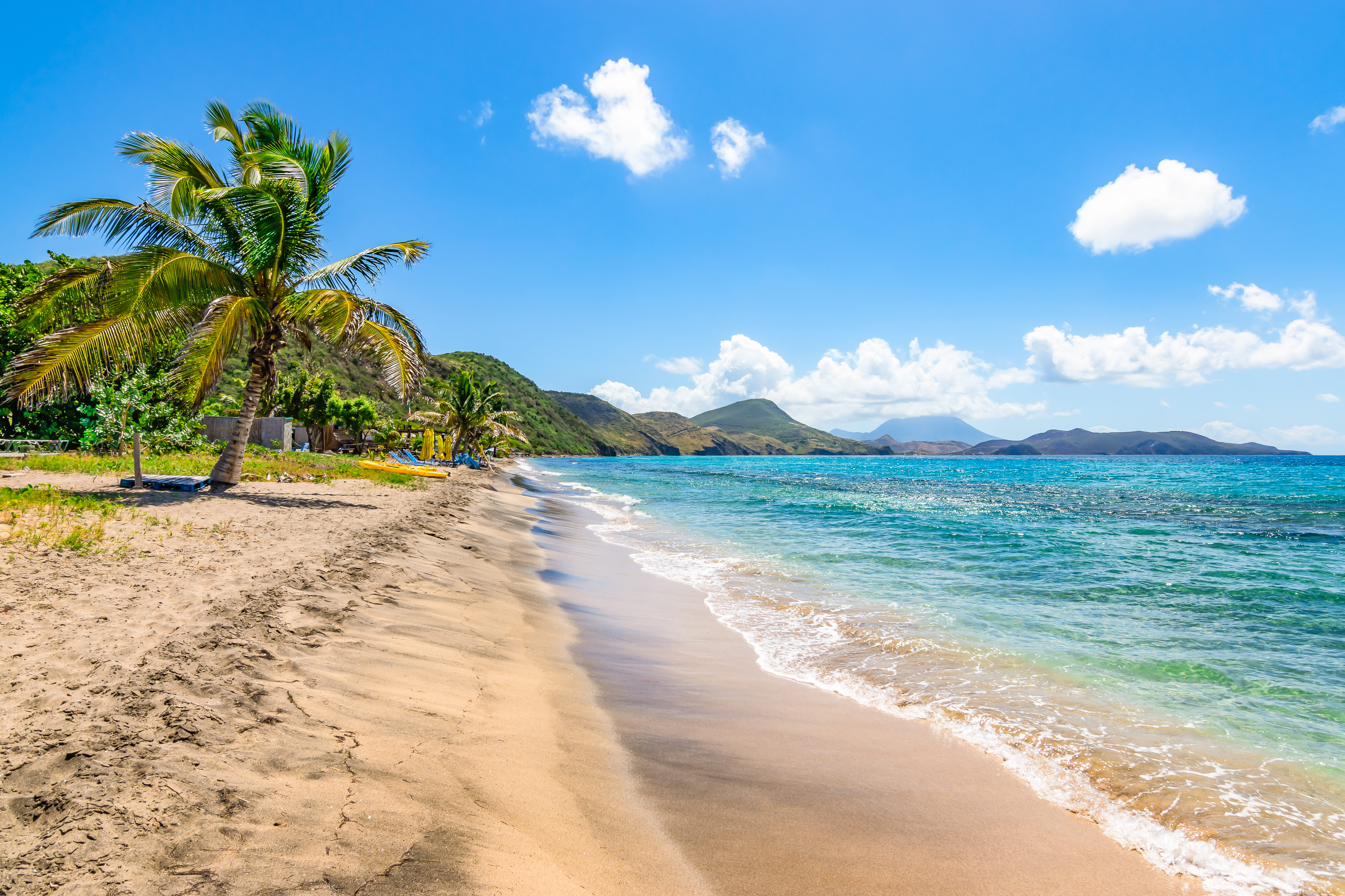 Beach in Saint Kitts, golden sand, turquoise sea, palm trees