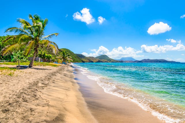 Beach in Saint Kitts, golden sand, turquoise sea, palm trees